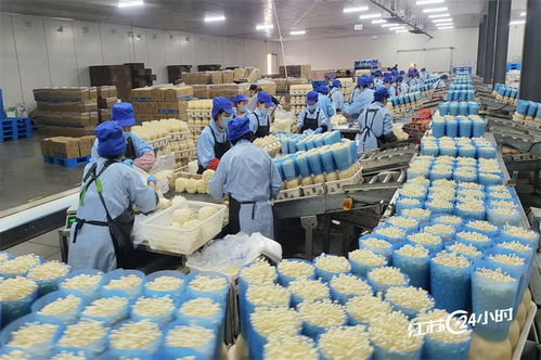 工廠化種植食用菌 規(guī)模化供應(yīng)與日用雜品市場的融合新機遇